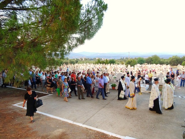 http://www.immspartis.gr/wp-content/uploads/2016/08/0502.jpg