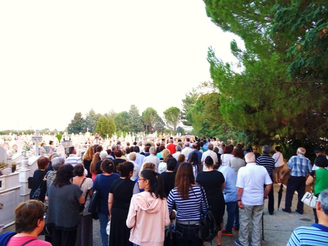 http://www.immspartis.gr/wp-content/uploads/2016/08/062.jpg