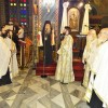 DSC02095 (2)