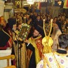 DSC05337 (2)