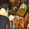 DSC06443 (2)