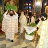 DSC08644 (2)